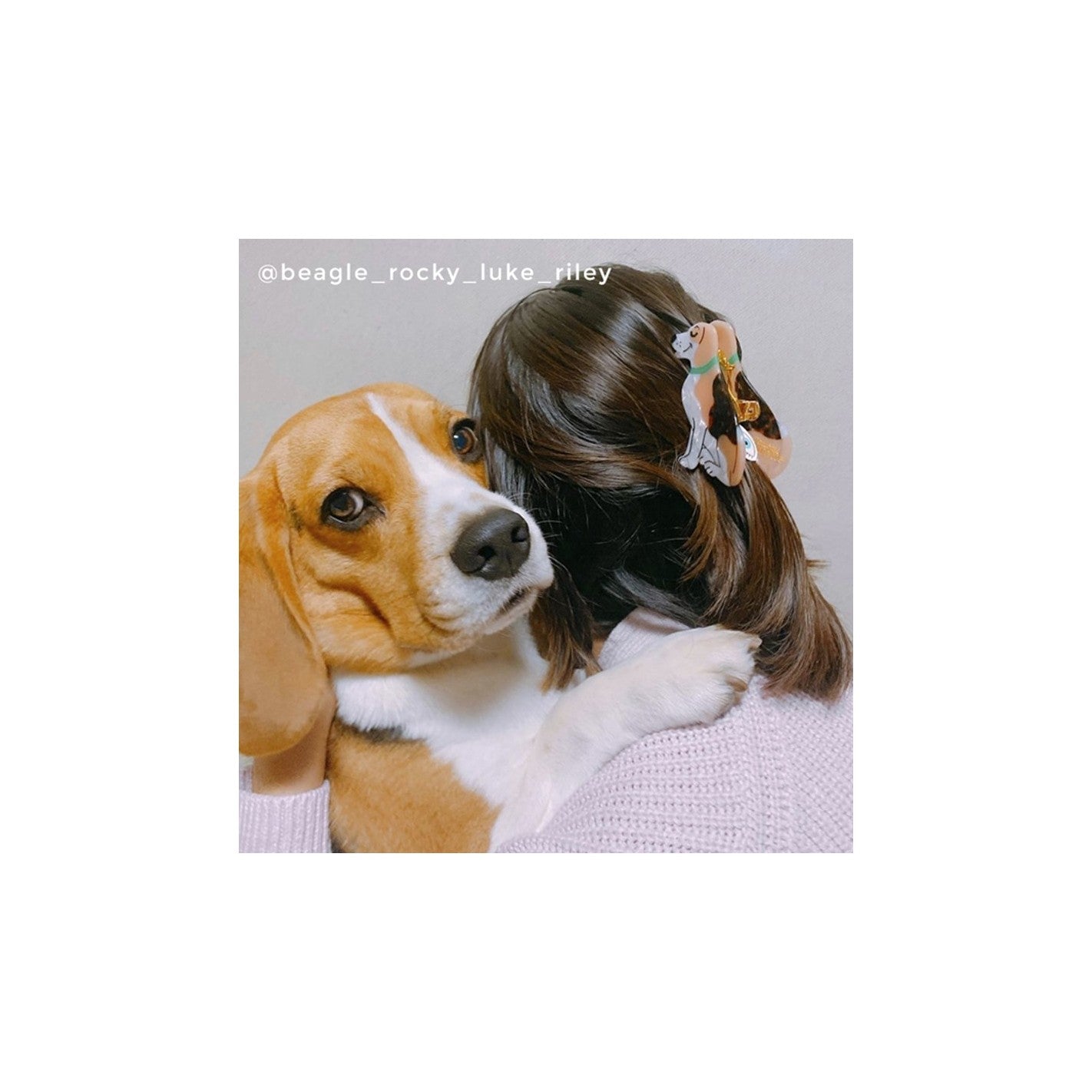 Pinza para el pelo Beagle