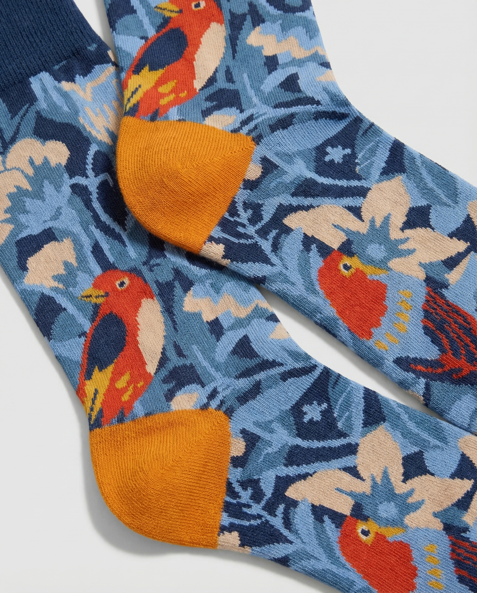 Calcetines originales con aves ilustradas y altura media pantorrilla