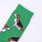 Calcetines Beagle